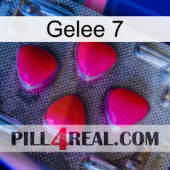 Jelly 7 13